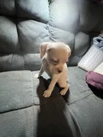 processed/a257d229-f42b-4206-aa9e-ab5ead0db248/listing/edb88f00-fb51-41a9-8c6f-412f0d091850/e9c192e1-8daf-4987-aa87-a3aa85e22e1b