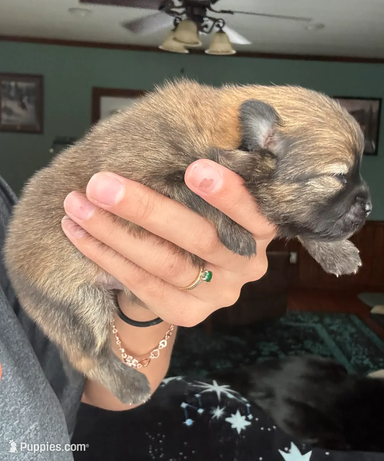 processed/a260c841-deca-4fea-b82d-026f893839d3/listing/738ad82c-cf0c-43f7-bc3c-e4c5feb4ae18/2df5d3f2-0ac6-4a28-a5e0-34f4d7bbe053