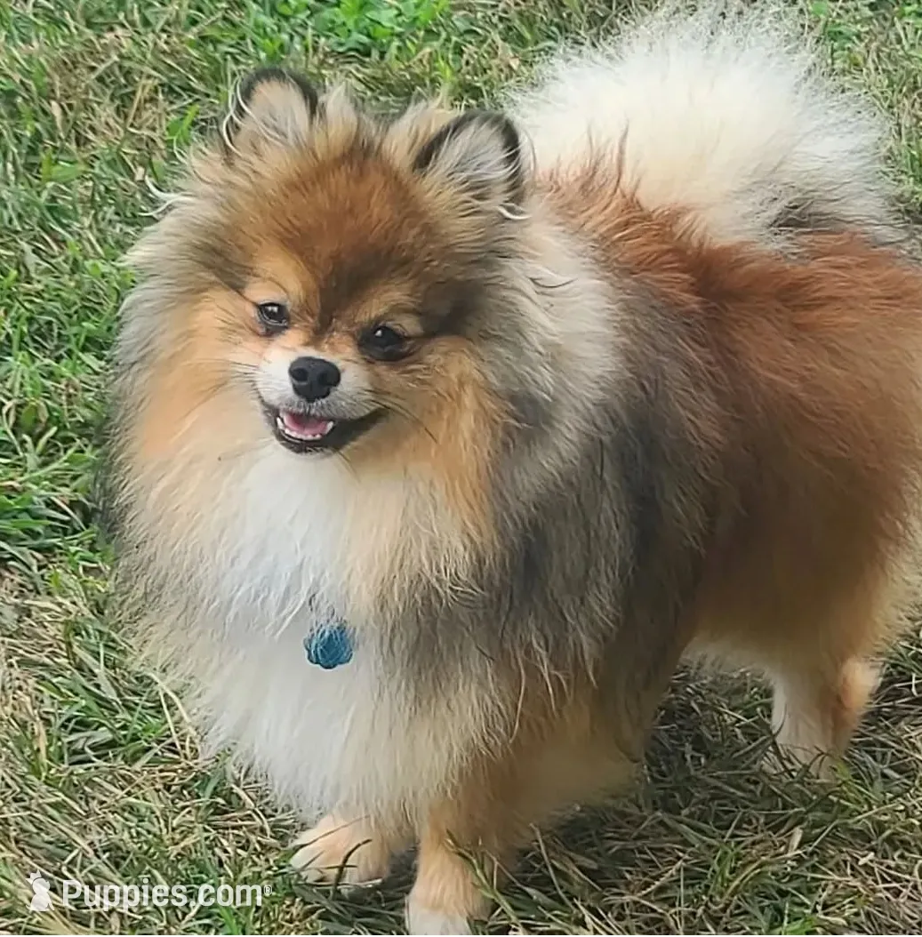 processed/a260c841-deca-4fea-b82d-026f893839d3/listing/738ad82c-cf0c-43f7-bc3c-e4c5feb4ae18/be350c89-736c-4fb5-8eff-77a3619aea56