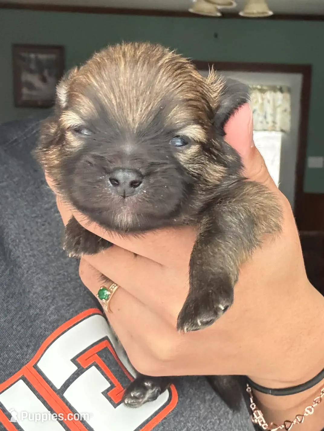 processed/a260c841-deca-4fea-b82d-026f893839d3/listing/738ad82c-cf0c-43f7-bc3c-e4c5feb4ae18/bff89407-ab2a-4d06-83f7-e7f79704c6f1