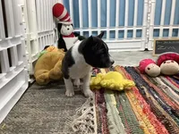 processed/a2631c5a-40dd-4143-bd08-477f24c8fdeb/listing/394f7ef0-6774-478e-88ac-b19ec1bf46ce/0270986f-fd23-4a22-bfd4-cd347a64827e