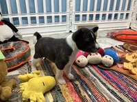 processed/a2631c5a-40dd-4143-bd08-477f24c8fdeb/listing/394f7ef0-6774-478e-88ac-b19ec1bf46ce/38b2e0cf-8acb-45d5-97c1-a730ef141ad8