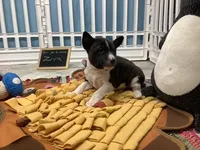 processed/a2631c5a-40dd-4143-bd08-477f24c8fdeb/listing/394f7ef0-6774-478e-88ac-b19ec1bf46ce/6eadc343-d547-40bd-b8ce-cc48f968934f