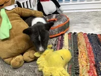 processed/a2631c5a-40dd-4143-bd08-477f24c8fdeb/listing/394f7ef0-6774-478e-88ac-b19ec1bf46ce/9af4a029-f53d-48b6-95a9-c1635f8b2583