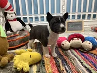 processed/a2631c5a-40dd-4143-bd08-477f24c8fdeb/listing/394f7ef0-6774-478e-88ac-b19ec1bf46ce/a21e0c5d-bd57-4431-a91e-555814017ce7