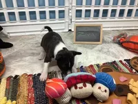 processed/a2631c5a-40dd-4143-bd08-477f24c8fdeb/listing/394f7ef0-6774-478e-88ac-b19ec1bf46ce/a64ec9d7-4169-4036-96dc-de814909d2ac