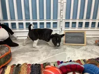 processed/a2631c5a-40dd-4143-bd08-477f24c8fdeb/listing/394f7ef0-6774-478e-88ac-b19ec1bf46ce/ce6b2767-bebc-4fb4-b102-b7dab369c3c5