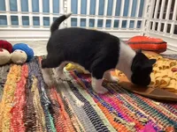 processed/a2631c5a-40dd-4143-bd08-477f24c8fdeb/listing/65c1594f-2386-4625-a446-a6a6d33bc173/07625be0-017a-42c4-9c32-4f176e4b6aee