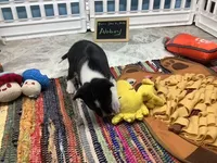 processed/a2631c5a-40dd-4143-bd08-477f24c8fdeb/listing/65c1594f-2386-4625-a446-a6a6d33bc173/087cb553-b389-4c11-9fe4-595e7921654f