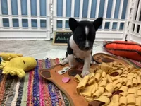 processed/a2631c5a-40dd-4143-bd08-477f24c8fdeb/listing/65c1594f-2386-4625-a446-a6a6d33bc173/388eb12f-d703-4ef9-9ae7-4a801a0c4de1