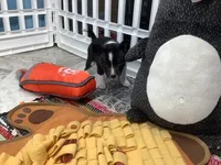 processed/a2631c5a-40dd-4143-bd08-477f24c8fdeb/listing/65c1594f-2386-4625-a446-a6a6d33bc173/5744c6f5-5c9a-4d2d-ba30-69aa5ba8ebef