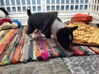 processed/a2631c5a-40dd-4143-bd08-477f24c8fdeb/listing/65c1594f-2386-4625-a446-a6a6d33bc173/590ee27a-cb39-443e-b64a-784dea26d9b6