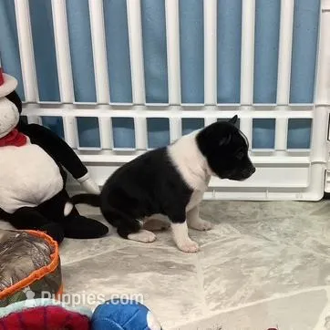 processed/a2631c5a-40dd-4143-bd08-477f24c8fdeb/listing/65c1594f-2386-4625-a446-a6a6d33bc173/9340b8aa-f3a7-467b-b3bc-678ae78f812a