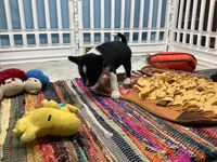 processed/a2631c5a-40dd-4143-bd08-477f24c8fdeb/listing/65c1594f-2386-4625-a446-a6a6d33bc173/a4ebdb2e-d0fd-4aaf-b98a-c9dd6c6fe284