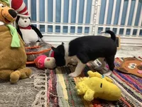 processed/a2631c5a-40dd-4143-bd08-477f24c8fdeb/listing/65c1594f-2386-4625-a446-a6a6d33bc173/ec7e2fe7-aec4-46ef-9659-c854177a9ca6