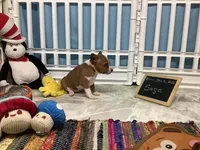 processed/a2631c5a-40dd-4143-bd08-477f24c8fdeb/listing/a717c952-b086-4c6e-b0c0-fbcd3b44520e/4020d31f-2d35-46db-8254-cb9e317a3201