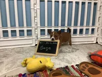 processed/a2631c5a-40dd-4143-bd08-477f24c8fdeb/listing/a717c952-b086-4c6e-b0c0-fbcd3b44520e/4ec5c676-367a-4d6f-b886-fdfab0e94ef7