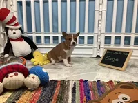 processed/a2631c5a-40dd-4143-bd08-477f24c8fdeb/listing/a717c952-b086-4c6e-b0c0-fbcd3b44520e/53144635-d3dc-4a5a-b27b-b41ec1893bc3