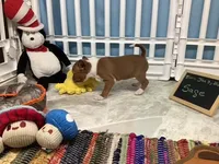 processed/a2631c5a-40dd-4143-bd08-477f24c8fdeb/listing/a717c952-b086-4c6e-b0c0-fbcd3b44520e/a6ed8335-ea4d-482c-b849-0ca88149115d