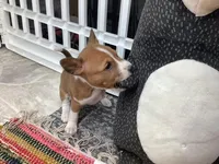 processed/a2631c5a-40dd-4143-bd08-477f24c8fdeb/listing/a717c952-b086-4c6e-b0c0-fbcd3b44520e/a7ef3fad-f0d8-4a6e-9b21-c69121d6593d