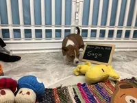 processed/a2631c5a-40dd-4143-bd08-477f24c8fdeb/listing/a717c952-b086-4c6e-b0c0-fbcd3b44520e/bf9d4159-8fb1-4f52-b95d-7fb71d403bb9