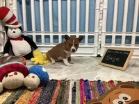 processed/a2631c5a-40dd-4143-bd08-477f24c8fdeb/listing/a717c952-b086-4c6e-b0c0-fbcd3b44520e/fc51e2f2-a7e6-4ac9-bbbe-7f74836e981e