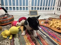 processed/a2631c5a-40dd-4143-bd08-477f24c8fdeb/listing/d11378cf-2cdc-4f21-a07d-f768703b1920/239129bc-ed48-4c73-a9ce-14f00d6f2ce4