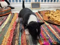 processed/a2631c5a-40dd-4143-bd08-477f24c8fdeb/listing/d11378cf-2cdc-4f21-a07d-f768703b1920/3a6a67b7-6414-4986-8a83-89d1a0c0a154