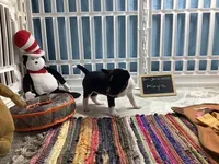 processed/a2631c5a-40dd-4143-bd08-477f24c8fdeb/listing/d11378cf-2cdc-4f21-a07d-f768703b1920/5cc0af38-df4a-4755-ba29-a754f7dc1dcd