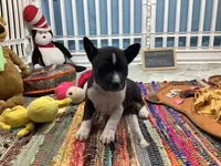 processed/a2631c5a-40dd-4143-bd08-477f24c8fdeb/listing/d11378cf-2cdc-4f21-a07d-f768703b1920/985fe5c0-160d-49e0-ac48-2ebcaf39b78d