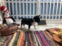 processed/a2631c5a-40dd-4143-bd08-477f24c8fdeb/listing/d11378cf-2cdc-4f21-a07d-f768703b1920/af3b9301-21d0-44fd-b98b-37cd39c18267