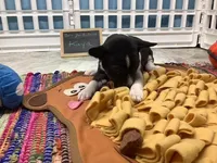 processed/a2631c5a-40dd-4143-bd08-477f24c8fdeb/listing/d11378cf-2cdc-4f21-a07d-f768703b1920/b4c77931-494f-4795-8e2a-7de22fad639c