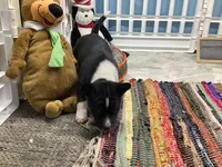 processed/a2631c5a-40dd-4143-bd08-477f24c8fdeb/listing/d11378cf-2cdc-4f21-a07d-f768703b1920/dfa90387-f457-4213-8b92-d0782c452511