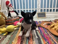 processed/a2631c5a-40dd-4143-bd08-477f24c8fdeb/listing/d11378cf-2cdc-4f21-a07d-f768703b1920/e7c07da3-07cd-4e9d-8d87-8dfc0fd1d024