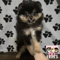 processed/a26bfc28-0c1e-4a45-9ba8-bb48cf4f3581/listing/1d3430d5-b85f-44ff-a669-d90255455985/72a1e4c1-0b71-4261-9c3e-508f8ef42b98