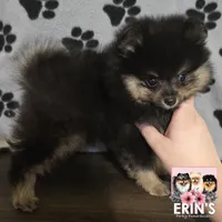 processed/a26bfc28-0c1e-4a45-9ba8-bb48cf4f3581/listing/1d3430d5-b85f-44ff-a669-d90255455985/b4b1b1ff-51dd-47a4-bc74-cf98f1cd35eb