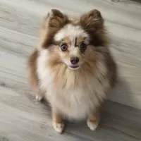 processed/a26bfc28-0c1e-4a45-9ba8-bb48cf4f3581/listing/1d3430d5-b85f-44ff-a669-d90255455985/cc176dc5-f97a-4744-ac60-9a812b4c1c3c