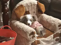 processed/a277f08d-2880-4e30-8ba1-3f53102533ec/listing/57103a8c-a133-4728-9154-3bcc86d5f22a/5eac65d4-cb10-44a5-9880-0920b9e41bbc