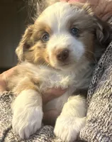 processed/a277f08d-2880-4e30-8ba1-3f53102533ec/listing/57103a8c-a133-4728-9154-3bcc86d5f22a/70392b0b-80a6-46fd-9249-8b145376b8bf