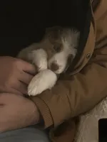 processed/a277f08d-2880-4e30-8ba1-3f53102533ec/listing/57103a8c-a133-4728-9154-3bcc86d5f22a/b95c92b7-0c63-4aba-bdf3-e275c7514d7d