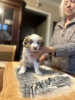 processed/a277f08d-2880-4e30-8ba1-3f53102533ec/listing/57103a8c-a133-4728-9154-3bcc86d5f22a/c7c13cae-a52e-4935-b743-7db6f0e3ab9f