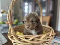 processed/a277f08d-2880-4e30-8ba1-3f53102533ec/listing/ff81e73b-53a4-42fb-9a73-da520bc15577/1266ae9f-0289-4678-a895-e1bdac50e197