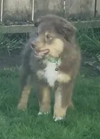 processed/a277f08d-2880-4e30-8ba1-3f53102533ec/listing/ff81e73b-53a4-42fb-9a73-da520bc15577/2b03589f-cd2c-4193-942c-b81a6806f3e2