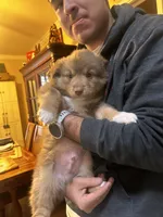 processed/a277f08d-2880-4e30-8ba1-3f53102533ec/listing/ff81e73b-53a4-42fb-9a73-da520bc15577/8fb8abbf-cf47-4bdf-a9aa-7b033b8b8f94