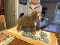 processed/a277f08d-2880-4e30-8ba1-3f53102533ec/listing/ff81e73b-53a4-42fb-9a73-da520bc15577/90a23de2-2cd9-477f-9180-41e1c2df6e1e