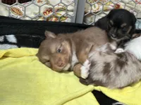 processed/a277f08d-2880-4e30-8ba1-3f53102533ec/listing/ff81e73b-53a4-42fb-9a73-da520bc15577/a98299c2-0e47-48ef-bc0a-701df812a598