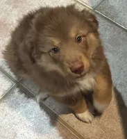 processed/a277f08d-2880-4e30-8ba1-3f53102533ec/listing/ff81e73b-53a4-42fb-9a73-da520bc15577/b6f2ebe1-26ee-452b-ad9f-24448805eff1