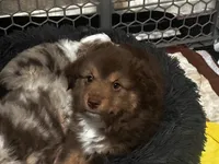 processed/a277f08d-2880-4e30-8ba1-3f53102533ec/listing/ff81e73b-53a4-42fb-9a73-da520bc15577/c6a45ced-4687-419f-bc5a-bd69d0143f09