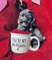 processed/a288b2c8-eb67-4a87-8d91-a7dde7e44868/listing/082704ea-698a-4ff7-99a9-ccce1f9aff33/1052ac8d-542f-4a3b-95e5-2bac539e2fb3