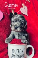 processed/a288b2c8-eb67-4a87-8d91-a7dde7e44868/listing/082704ea-698a-4ff7-99a9-ccce1f9aff33/9db01f71-7e8a-4236-9c17-4b6c30eef18e